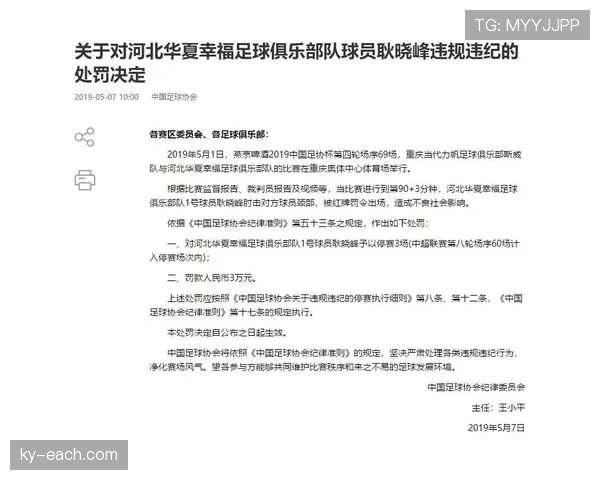 累计犯规规则详解：何时触发纪律处罚与停赛